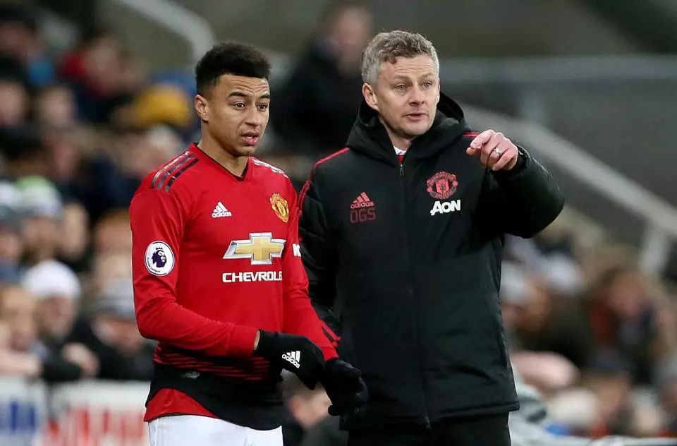 动的复杂性 动的复杂性